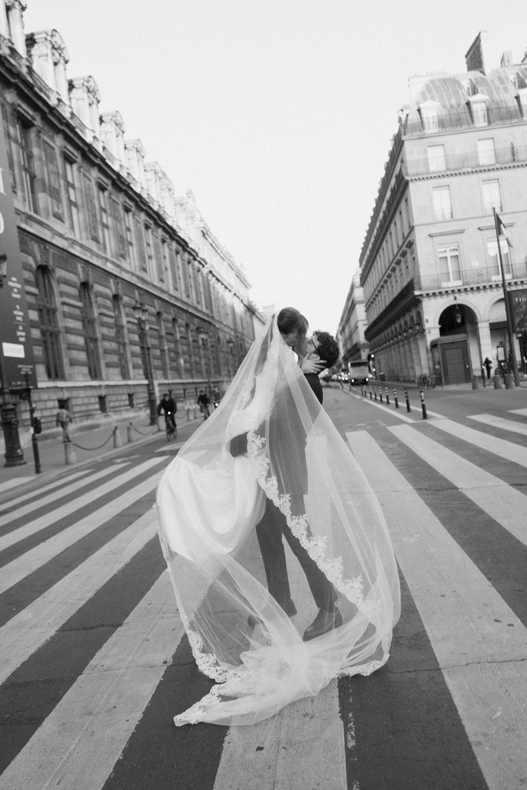 ROSA Lace Edge Cathedral Veil